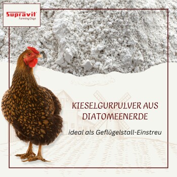 Braune Henne neben einem Haufen Diatomeenerde, sichtbarer Text: "KIESELGURPULVER AUS DIATOMEENERDE"