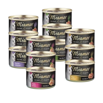 Puszki karmy dla kotów Miamor w smakach takich jak Thun & Calamari, Huhn & Reis i Thun & Käse, oznaczone "Feine Filets" i "in Jelly."