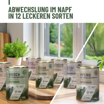 Reavet+-Tierfutterdosen auf einer sonnigen Fensterbank, Etiketten wie 'HIRSCH MIT SÜSSKARTOFFELN' und 'PFERD', Überschrift 'ABWECHSLUNG IM NAPF'