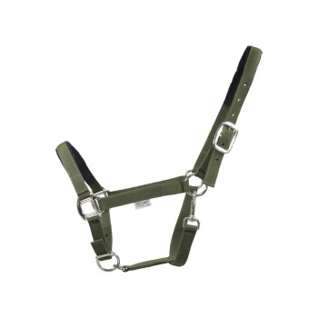 Grünes Haustiergeschirr mit schwarzer Polsterung, mit verstellbaren Riemen und Metallverschlüssen, auf einem weißen Hintergrund angezeigt.