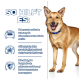 Ein glücklicher Hund mit einem blauen Halsband steht vor einem blauen Hintergrund, begleitet von Text, der die Vorteile von nahrhaftem Futter für Haustiere beschreibt.