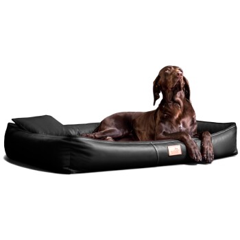 Ein brauner Hund, der auf einem schwarzen Hundebett entspannt liegt und mit einem entspannten Ausdruck nach oben schaut. Das Bett hat ein kleines Logotag.