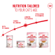 Royal Canin kitten wet food pouches and cans with red age-curve graphic reading "Nutrition tailored to your cat's age"