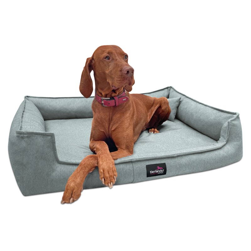 Tierlando ® Orthopädisches Hundebett GUSTAV SCANDI CHIC Große Hunde XL Hundesofa