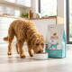 Chien brun bouclé mangeant dans une gamelle blanche à côté d'un sac étiqueté 'Select Gold MEDICA Veterinary Diet Hypoallergenic' dans une cuisine.