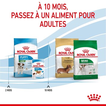 Image de produits alimentaires pour chiens Royal Canin, présentant des formules pour chiots et adultes. Le texte indique : "À 10 MOIS, PASSEZ À UN ALIMENT POUR ADULTES."