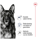 Hond afbeelding met tekst: 'Gezonde spijsvertering,' 'Bot- en gewrichtsondersteuning,' 'Optimale vitaliteitssteun.'