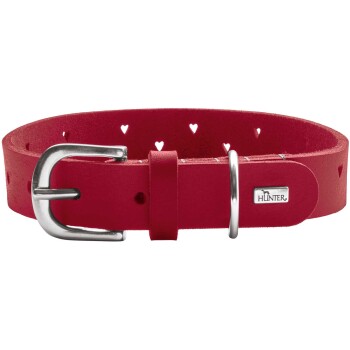 Roter Leder-Haustierhalsband mit herzförmigen Ausschnitten und einer silbernen Schnalle, ausgestattet mit einem kleinen 'HUNTER'-Logoanhänger.
