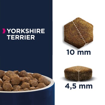 Bild von Hundefutter für Yorkshire Terrier, mit Kibble-Größen von 10 mm und 4,5 mm, in einer blauen Schüssel präsentiert.