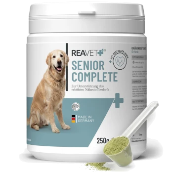 Behälter von REAVET Senior Complete Pulver für ältere Hunde, mit einem Golden Retriever auf dem Etikett, 250g, hergestellt in Deutschland.