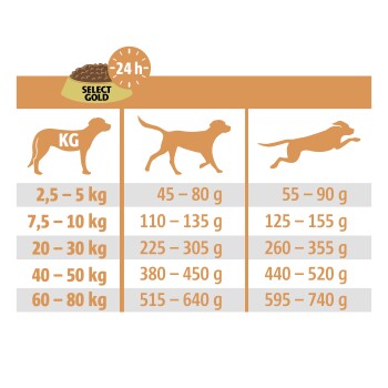 Guide d'alimentation pour la nourriture pour chiens Select Gold, détaillant les portions quotidiennes en fonction des catégories de poids des chiens de 2,5 kg à 80 kg.