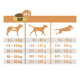 Fütterungsanleitung für Select Gold Hundefutter, die tägliche Portionen basierend auf den Gewichtskategorien von Hunden von 2,5 kg bis 80 kg detailliert.
