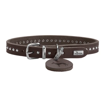 Halsband Aalborg Style dunkelbraun 27 cm Braunes Leder-Hundehalsband mit silbernen Nieten, mit einer Metallschnalle und einem Anhänger mit dem Hunter-Logo.