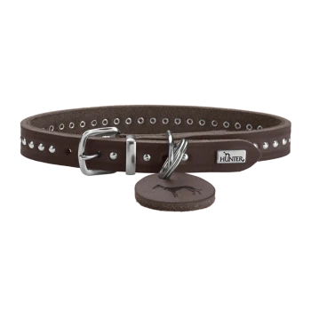 Braunes Leder-Hundehalsband mit silbernen Nieten, mit einer Metallschnalle und einem Anhänger mit dem Hunter-Logo.