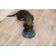 Gamelle Slow Feed 450 ml