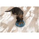 Ein kleiner braun-schwarzer Hund frisst aus einer blauen und weißen langsamen Futterstation, die mit Trockenfutter auf einem Holzboden gefüllt ist.