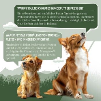 Zwei braune Hunde mit grünen Sprechblasen auf Deutsch über die Qualität des Hundefutters und das Verhältnis von Muskelfleisch zu Innereien