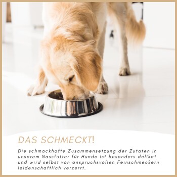 Ein Golden Retriever frisst aus einer Edelstahlschüssel auf einem weißen Boden. Der Text hebt die Köstlichkeit des Hundefutters hervor.