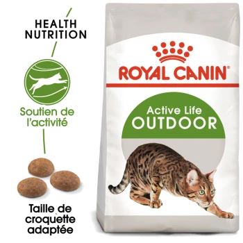 Sac de nourriture pour chats Royal Canin Active Life Outdoor avec une illustration de chat Bengal, mettant en avant la nutrition santé et la taille de croquettes adaptée.