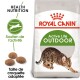 Sac de nourriture pour chats Royal Canin Active Life Outdoor avec une illustration de chat Bengal, mettant en avant la nutrition santé et la taille de croquettes adaptée.