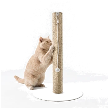 Beige Katze kratzt an einem hohen Sisal-Kratzbaum mit hängendem Bommelspielzeug auf weißer runder Basis, weißer Hintergrund.