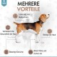 Ein Beagle auf einem hellen Hintergrund mit Pfotenabdrücken, der Vorteile zeigt: Hautjuckreizlinderung, verbesserte Hautgesundheit, Geruchsentfernung und Floh-/Zeckenprävention.