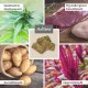 Zutaten für Hundefutter: Hanfblätter, Entenfleisch, Kartoffeln, Amaranthblüten, mit "AniForte" Kräcker in der Mitte.