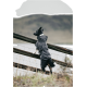 Ein schwarz-weißer Hund, der einen wasserdichten Mantel trägt, steht auf seinen Hinterbeinen, lehnt sich gegen einen Holzzaun und schaut auf eine malerische Landschaft.