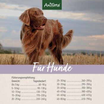 Ein brauner Hund steht auf einem Feld unter einem bewölkten Himmel, mit dem Text "AniForte Für Hunde" und Fütterungsempfehlungen für verschiedene Hundew weights darunter.