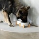 Ein großer Hund mit dunklem Fell frisst aus zwei modernen weißen Schalen mit Holzständern, die auf einer weichen grauen Matte vor einer Betonwand platziert sind.
