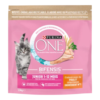 Sac rose Purina ONE BIFENSIS pour chaton avec chaton gris ; textes « Junior 1-12 mois » et « ÉLABORÉ AVEC DU POULET »