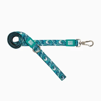 Max & Molly Kurzleine - Storm XS