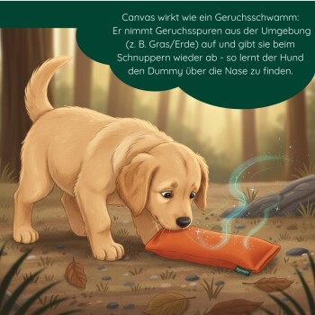 Drei rechteckige Hundekauspielzeuge in Orange, Grün und Marineblau mit kleinen „Gomers“-Etiketten an der Seite.