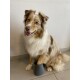 Nettoyant pour pattes petit