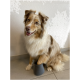 A fluffy dog sits on a tiled floor, with its front paw resting inside a gray pet grooming tool. The background is a plain white wall.
