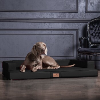 ® Orthopädisches Design Hundesofa GIBSON VISCO Kunstleder kubische Form schwarz 80 cm, 22 cm, 60 cm