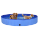 Zwei Hunde spielen in einem großen, runden, blauen aufblasbaren Pool, der mit Wasser gefüllt ist.
