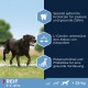Ein glücklicher schwarzer Labrador läuft auf Gras, mit Text über die Vorteile von Hundefutter: Zahngesundheits-Kibbles, L-Carnitin zur Fettverbrennung und Probiotika für die Verdauung.