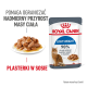Torebka karmy dla kotów Royal Canin Light Weight z talerzem mokrej karmy, z kotem i tekstem o korzyściach w zarządzaniu wagą.