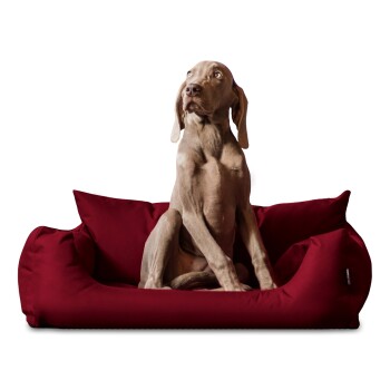 Tierlando NEMO Hundebett Hundesofa S M L Hundekorb Katzenbett 65 80 100cm dunkelrot 65 cm, 20 cm, 50 cm