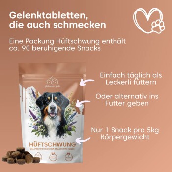 Gelenktabletten für Hunde, Verpackung mit einem Hundebild, enthält ca. 90 Snacks, Hinweise zur Fütterung und Dosierung.