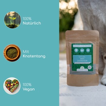 Natürliches Anti-Zahnstein-Pulver für Hunde in einer braunen Papiertüte, beschriftet mit "Zahnpflege Pulver", mit Symbolen für 100% natürlich, mit Algen und 100% vegan.