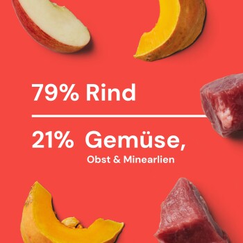 Bild zeigt Haustierfutterzutaten mit 79% Rindfleisch, 18% Gemüse, Früchte und Mineralien, auf einem lebhaften roten Hintergrund.