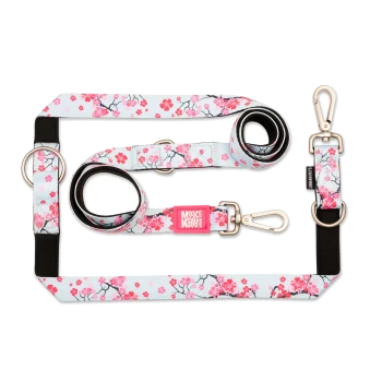 Hundeleinen- und Geschirrset mit floralem Muster in Pink und Weiß, mit Metallclips und Ringen, gekennzeichnet mit „Max & Molly Urban Pets“.