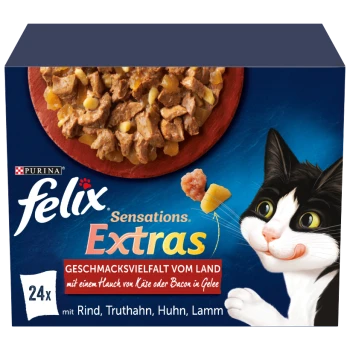 Eine Packung Purina Felix Sensations Extras Katzenfutter mit Nassfutter, mit einer verspielten schwarz-weißen Katze und deutschem Text über Geschmäcker.