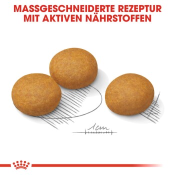 Drei runde, braune Haustierfutter-Kibbles auf einer skizzierten Umrisslinie mit dem Text "Massgeschneiderte Rezeptur mit aktiven Nährstoffen" darüber.