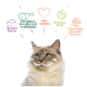 Eine flauschige Katze mit blauen Augen und einem verspielten Schnurrbart, umgeben von Text über Vorteile: "Reines Futter," "Perfektes Eiweiß-Fett Verhältnis," und mehr.