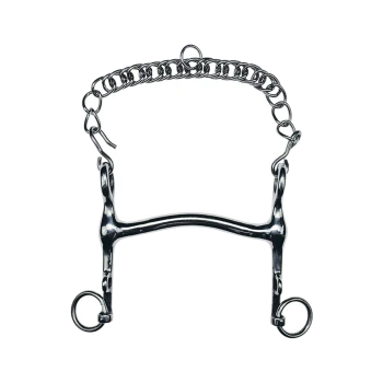 Metallpferdegebiss mit einer Kette, entworfen für den Reitsport, mit einem glatten Balken und zwei Ringen auf jeder Seite.