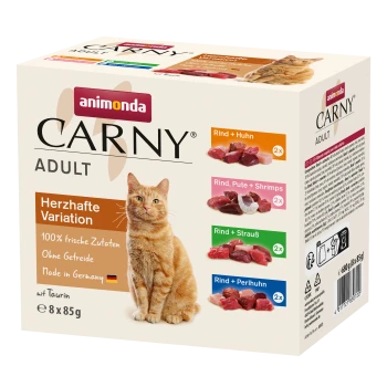 Animonda Carny Adult Katzenfutterbox mit einer orangefarbenen getigerten Katze, aufgelisteten Geschmacksrichtungen und deutschem Text auf der Verpackung.