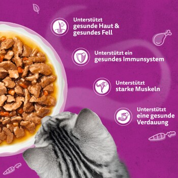 Vogelperspektive auf eine grau-getigerte Katze neben einer Schale mit Nassfutter; deutscher Text listet Vorteile: Haut & Fell, Immunsystem, starke Muskeln, Verdauung